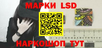 тгк Шебекино