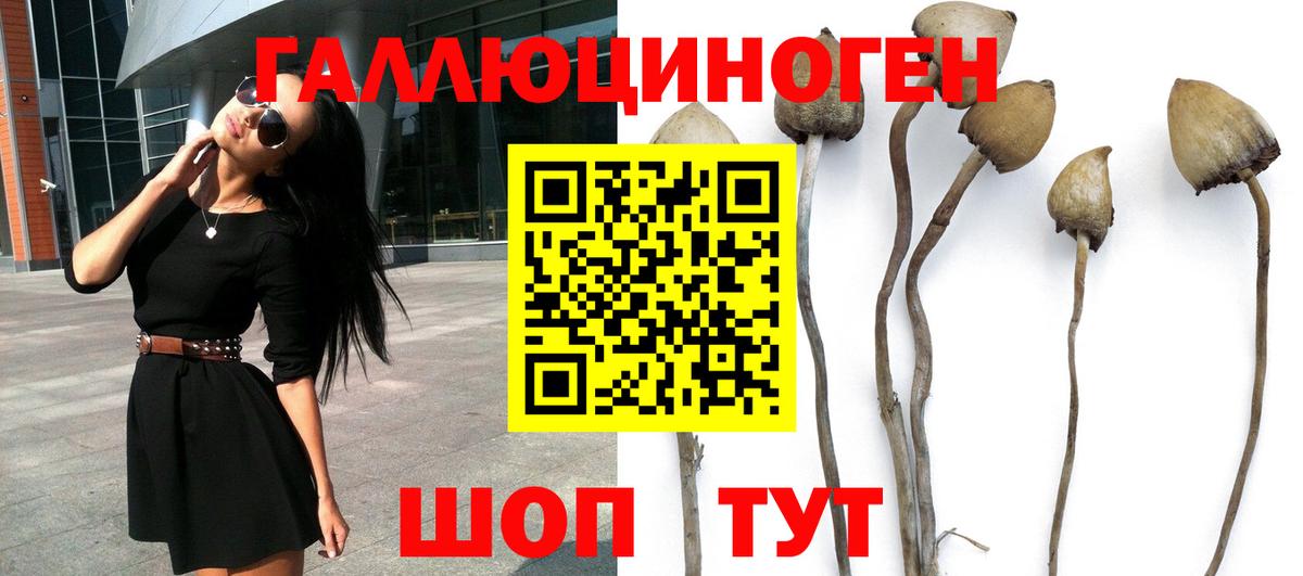 Псилоцибиновые грибы мухоморы Борисоглебск